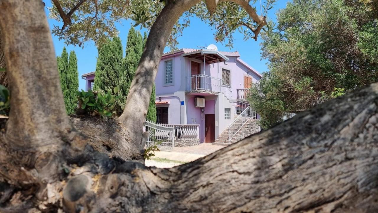 Apartmani Nika Bibinje Dış mekan fotoğraf